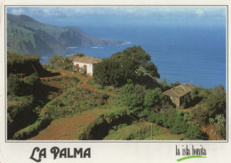 131265 - La Palma - Spanien - Costa Norte - La Palma