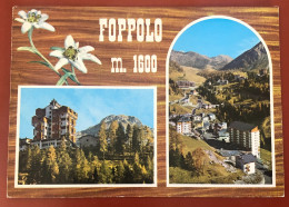 Foppolo M.1600 -  Alta Valle Brembana (Bergamo) Lombardia - Italia - 1983 (c1507) - Bergamo