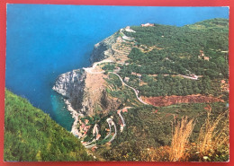 MARINELLA DI PALMI - Veduta Panoramica - 1986 (c1508) - Reggio Calabria