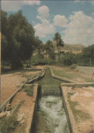 98531 - Palästina - Jericho - Elisha Spring - Ca. 1985 - Palestina