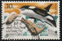 Territoire Antarctique Australien 1973 Yv. N°28 - Baleine - Oblitéré - Usados