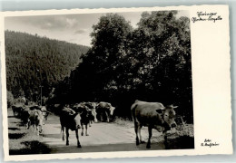 39434381 - Thueringen Foto Brechstein Nr.1765 - Cows