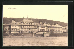 AK Dresden-Pillnitz, Blick Auf Das Schloss  - Pillnitz