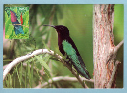 Carte Maximum 2003 - Oiseaux D'Outremer - Le Colibri Grenat - YT 3550 - 971 Pointe-à-Pitre - 2000-2009