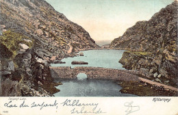 EIRE Ireland - KILLARNEY - Serpent Lake - Kerry