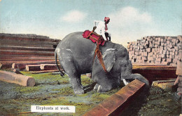 MYANMAR Burma - Elephants At Work - Publ. D. A. Ahuja 11 - Myanmar (Burma)