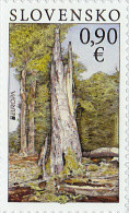 Europa 2011 Neuf Yvert 578 ** Forêt Parc National De Poloniny - Unused Stamps