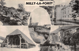 91 MILLY LA FORET - Milly La Foret