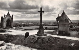 85 LES HERBIERS LE MONT DES ALOUETTES - Les Herbiers