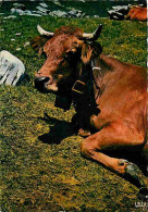 Animaux - Vaches - Cloche - CPM - Voir Scans Recto-Verso - Cows