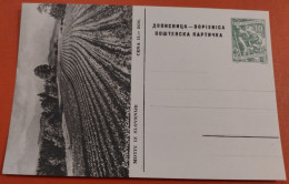 Yugoslavia C1958 Slovenia - Motif From Slovenia - Illustrated Unused Postal Stationery Card 10 Dinars R! - Enteros Postales