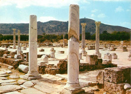 Algérie - Annaba - Ruines D'Hippone - CPM - Carte Neuve - Voir Scans Recto-Verso - Annaba (Bône)