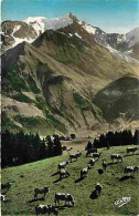 Animaux - Vaches - Paysages Alpestres - Paturages De Montagnes - CPM - Voir Scans Recto-Verso - Cows