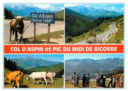 Animaux - Vaches - Col D'Aspin - Pic Du Midi De Bigorre - Multivues - Carte Neuve - CPM - Voir Scans Recto-Verso - Cows