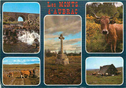 Animaux - Vaches - Monts D'Aubrac - Multivues - CPM - Voir Scans Recto-Verso - Cows