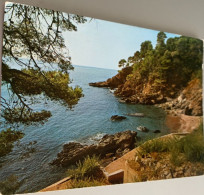 06 Roquebrune Cap Martin 1970 Calanque Mediterranee Pins -ed Sed 8994 - Roquebrune-Cap-Martin