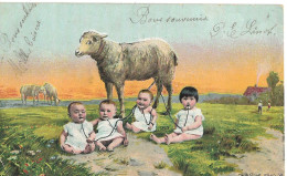 Bébés Multiples Nourris Au Lait De Brebis Ed. Bauer Wien VII, Dos Simple Envoi 1906 - Baby's