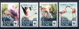 BT50- Sierra Leone 2017 WWF. W.W.F. World Wildlife Fund For Nature. Birds - Ungebraucht