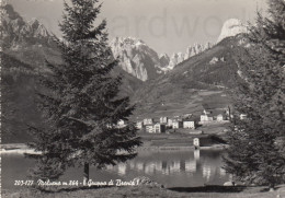 CARTOLINA  MOLVENO M. 864 TRENTO TRENTO ALTO ADIGE DOLOMITI DI BRENTA VIAGGIATA 1963   Y12 - Trento