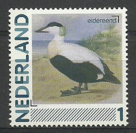 Netherlands 2011 Mi Per 2829(Aa-09) MNH  (ZE3 NTHper2829(Aa-09)) - Marine Web-footed Birds
