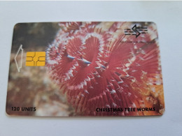 BONAIRE / CHIPCARD/ Naf 30,-  120 Units/   CHRISTMAS TREE WORMS / UNDERWATER/CORAL   **17147 ** - Antilles (Netherlands)