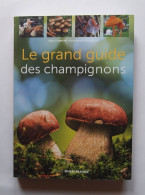 Le Grand Guide Des Champignons - Nature