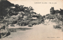 77-LARCHANT-N°T5290-H/0247 - Larchant