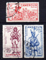 Cameroun - 1941 - Défense De L' Empire   - N° 197 à 199  - Oblit - Used - Used Stamps