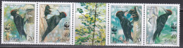 Serbien 2007 - Mi.Nr. 188 - 191 - Postfrisch MNH - Tiere Animals Vögel Birds Specht Woodpacker - Piciformes (pájaros Carpinteros)