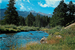  ETATS UNIS USA CALORADO GLACIER CREEK AND LONG'S PEAK - Otros & Sin Clasificación