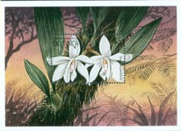 DOMINICA 1997 - Orchidées - BF 2 - Starhopea Grandiflora - Dominica (1978-...)