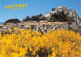 SISTERON 14(scan Recto-verso)MA268 - Sisteron