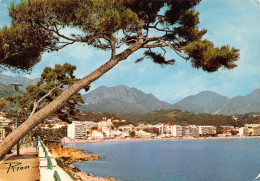 6-ROQUEBRUNE-N°C-3650-B/0145 - Roquebrune-Cap-Martin