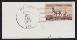 U.S.A.(1957) Bee. Cancel Of Bee House, Texas On Fragment. - Honeybees