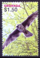 Grenada 2005 MNH, Prairie Falcon (Falco Mexicanus), Birds Of Prey - Adler & Greifvögel
