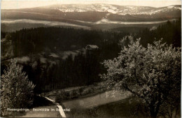 Riesengebirge - Baumblüte Im Bächeltal - Schlesien