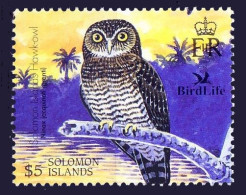 Hawk-Owl,  (Ninox Jacquinoti Granti) Birds Of Prey, Solomon Islands 2004 MNH - Uilen