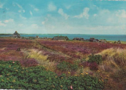 23407 - Sylt - Heidepartie - 1968 - Sylt