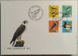 1971 FDC Pro Juventute - FDC