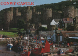 99590 - Grossbritannien - Conwy - Castle - Ca. 1995 - Other