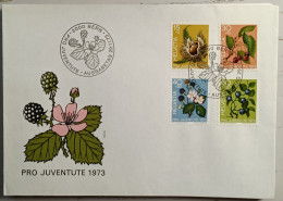 1973 FDC Pro Juventute - FDC