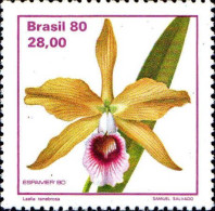 Brésil Poste N** Yv:1442 Mi:1788 Laelia Tenebrosa - Ungebraucht