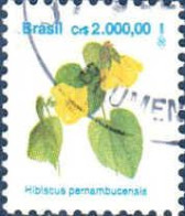 Brésil Poste Obl Yv:2094 Mi:2498 Hibiscus Parnambucensis (TB Cachet Rond) - Gebraucht