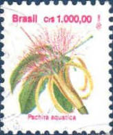 Brésil Poste Obl Yv:2093 Mi:2497 Pachira Aquatica (cachet Rond) - Gebraucht