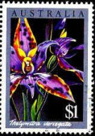 Australie Poste Obl Yv: 976 Mi:1000 Thelymitra Variegata Orchidée (Obli. Ordinaire) - Usati