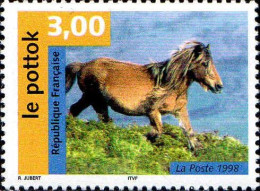 France Poste N** Yv:3184 Mi:3328 Le Pottok Cheval (Thème) - Paarden