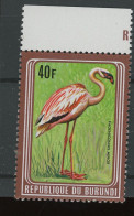 1981.  40F Oiseau Bird Reprint. Cadre Brun **.  Mint N.H.  Postfrich - Unused Stamps