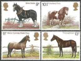 422 G-B 1978 Chevaux Horses Thoroughbred Pur-sang Shetland Pony Poney MNH ** Neuf SC (GB-839) - Paarden