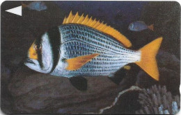 Bahrain - Batelco (GPT) - Fish Of Bahrain - Doublebar Bream - 41BAHF (Normal 0), 1996, 200U, Used - Bahrain