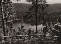 55738 - Glaswaldsee - Ca. 1960 - Bad Rippoldsau - Schapbach